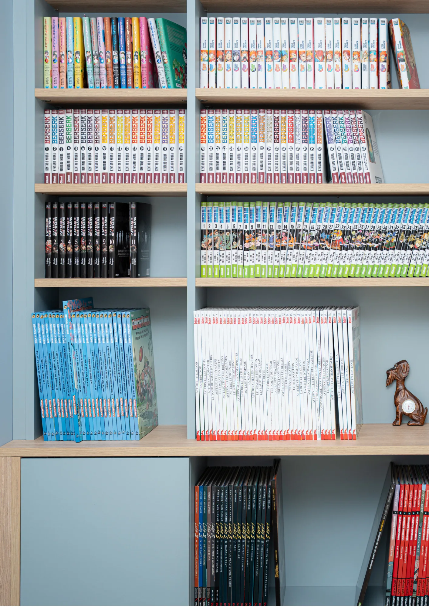 COMMENT AMÉNAGER UNE BIBLIOTHÈQUE POUR UNE GRANDE COLLECTION DE BD ET MANGAS ?